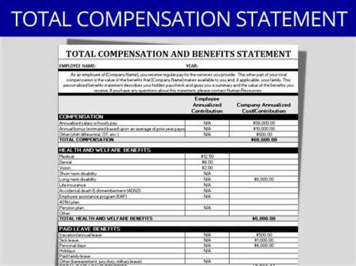 Developing and Managing a Total Compensation System: A Complete PDF Guide