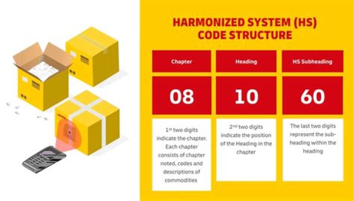 DHL HS Code List PDF – Complete Guide to Import/Export Tariffs