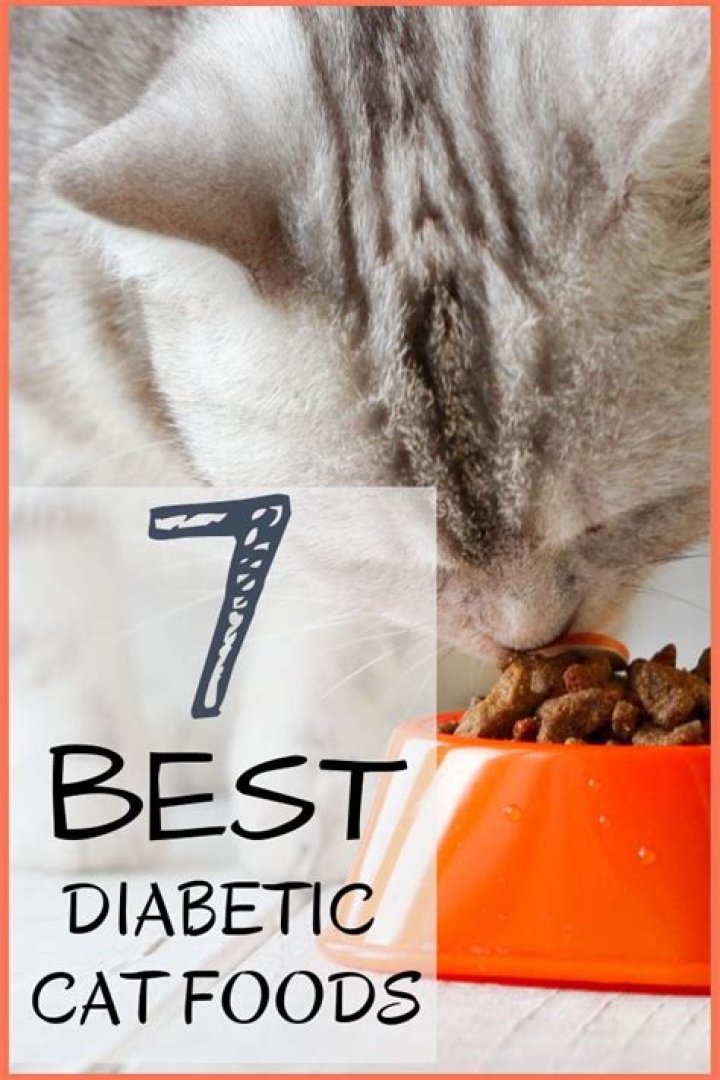 Diabetic Cat Food List PDF: Safe & Healthy Options for Your Feline