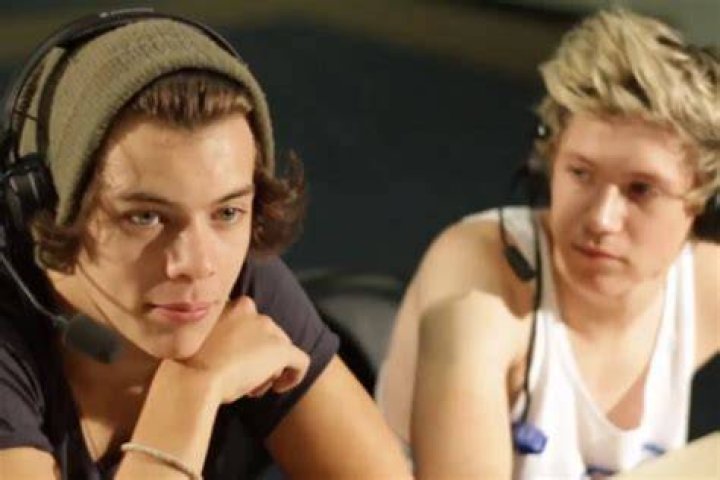 Did Harry have a crush on Niall?