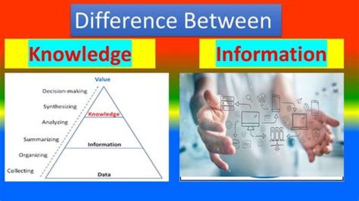 Difference Between Information Management and Knowledge Management: A Detailed PDF Guide