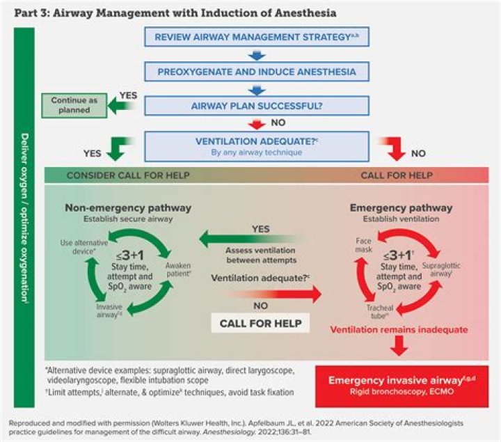 Difficult Airway Management PDF: Essential Protocols & Guidelines
