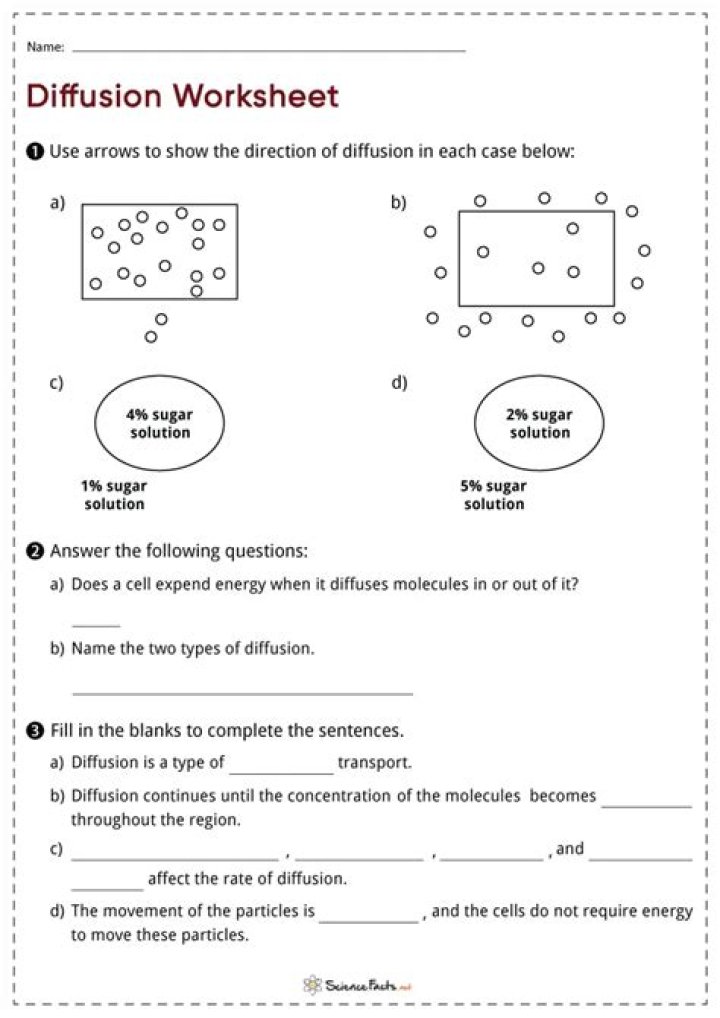 Essential Diffusion Questions PDF for Academic & Professional Use