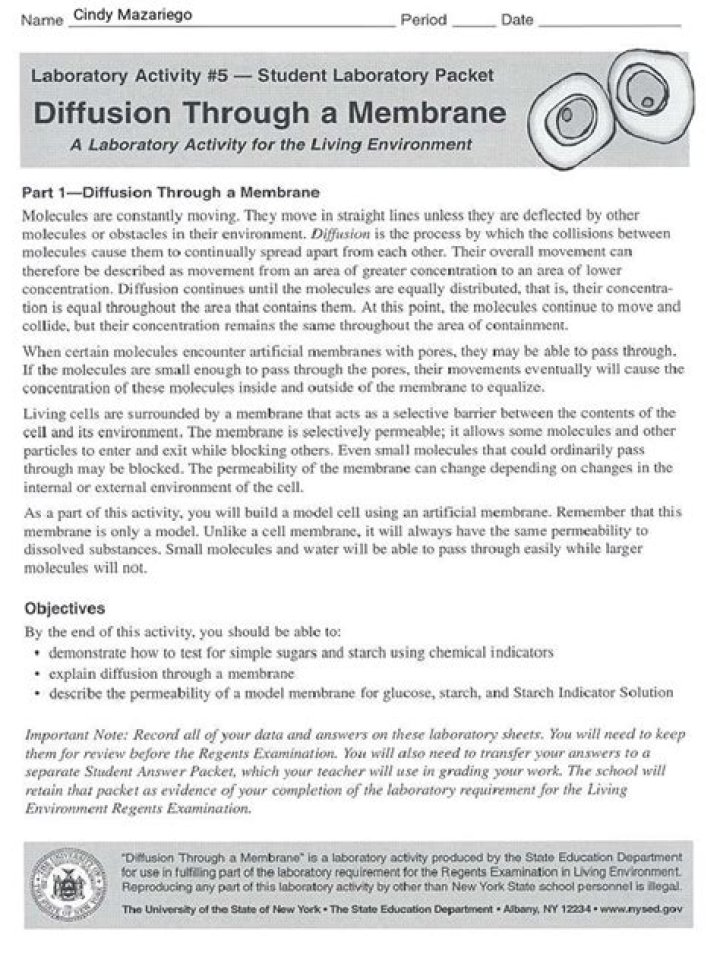 Diffusion Through a Membrane Lab Answer Key PDF – Instant Solutions