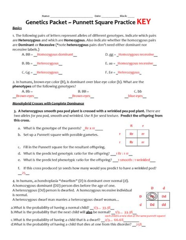 Digital Punnett Squares Answer Key PDF – Free Download