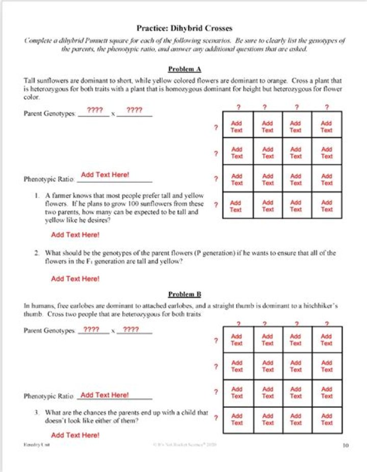 Dihybrid Cross Practice Problems with Answers PDF – Expert Study Guide