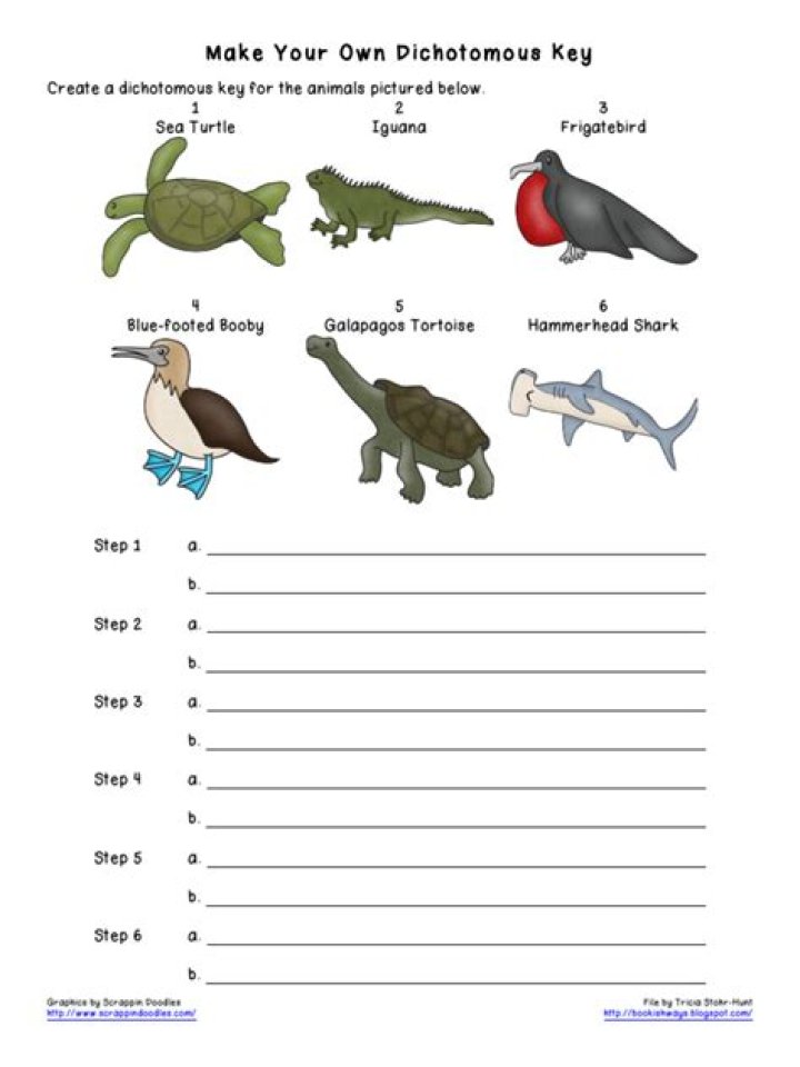 Dinosaur Dichotomous Key Worksheet Answers PDF – Download Now