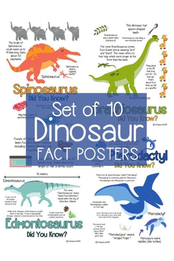 Dinosaur Fact Sheet PDF – Complete Guide to Dinosaurs