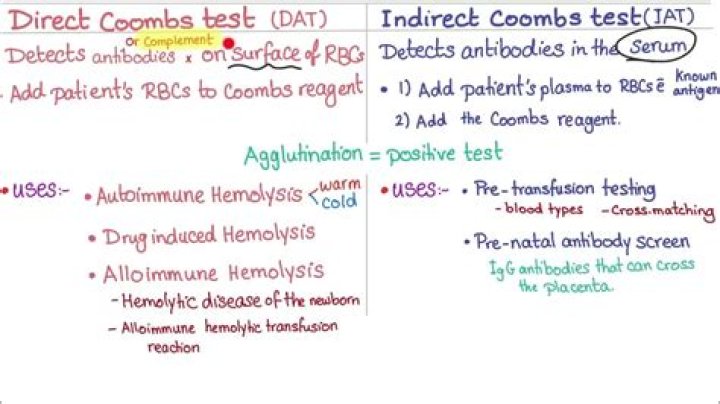Direct and Indirect Coombs Test Procedure: Step-by-Step PDF Guide