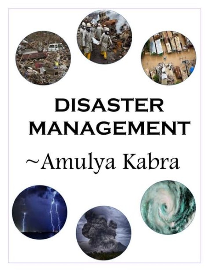 Comprehensive Disaster Management Project PDF Guide