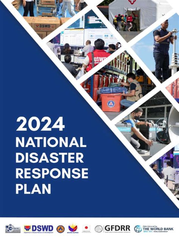 Essential Disaster Response Plan PDF for Emergency Preparedness