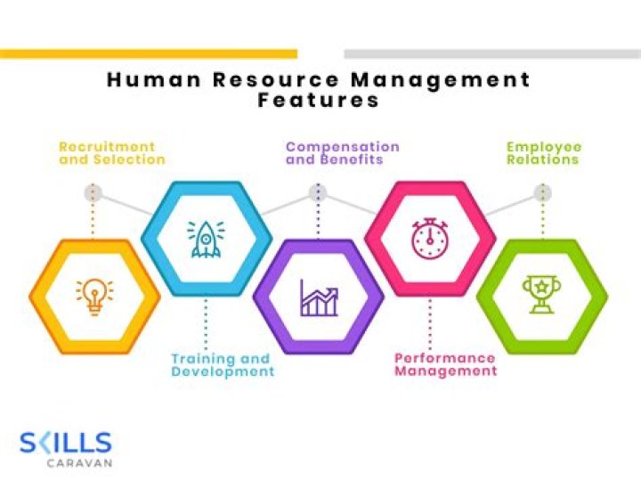 Dissertation on Human Resource Management PDF: Expert Guide & Analysis