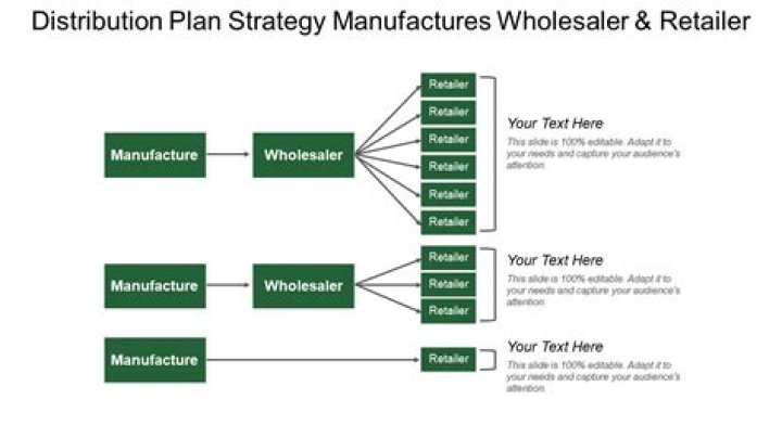 How to Create a Winning Distributor Business Plan – PDF Template