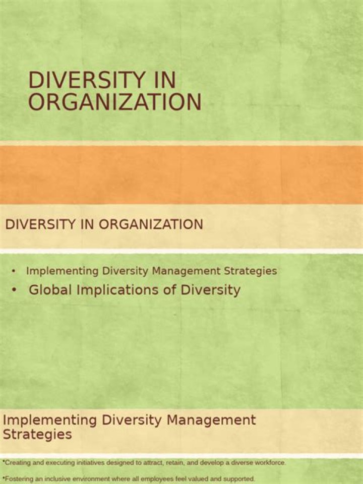 Top Diversity Management Strategies PDF for Workplace Success