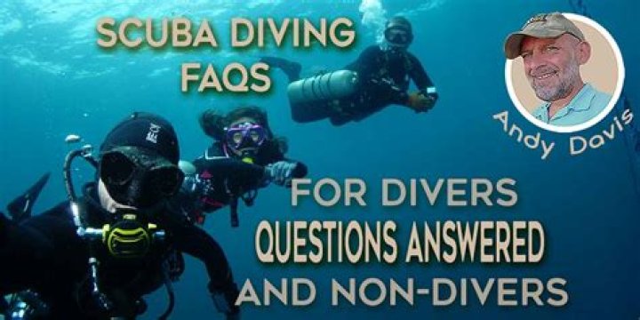 Diving Questions and Answers PDF: Expert Answers for Divers