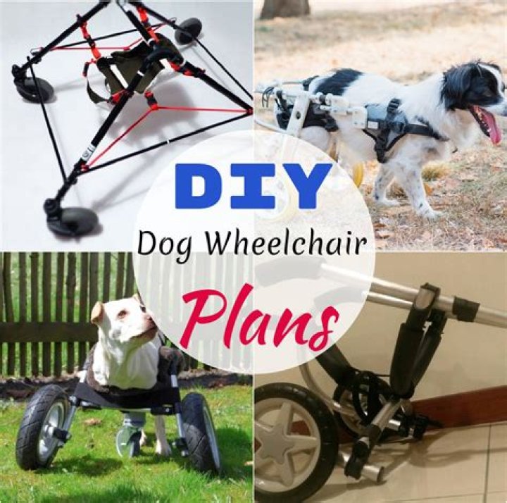 DIY Dog Wheelchair Plans PDF: Build a Custom Wheelchair for Your Pet
