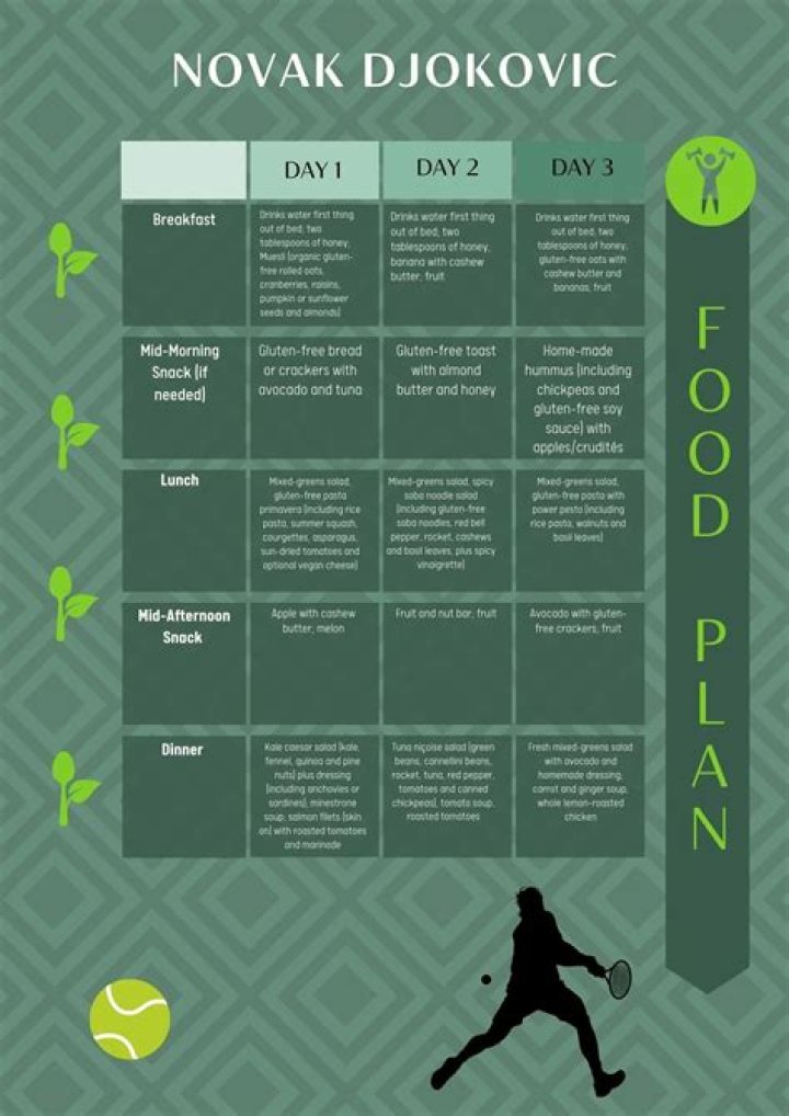 Djokovic’s Proven Diet Plan PDF: Top Nutrition Secrets for Elite Performance