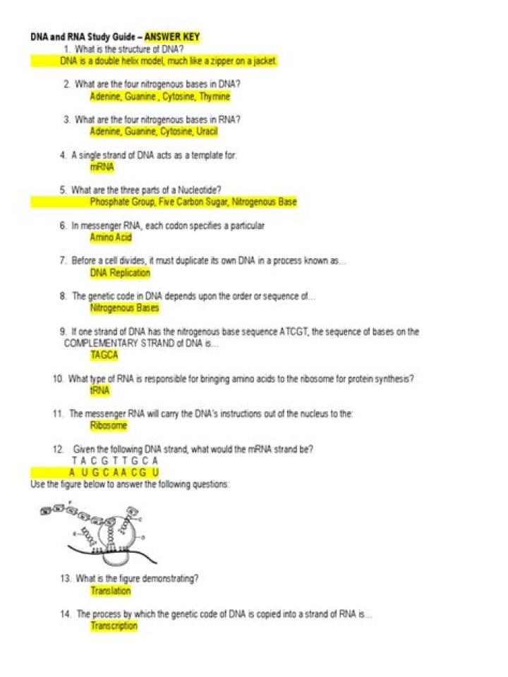 Accurate DNA and RNA Test Results: Download Your PDF Report