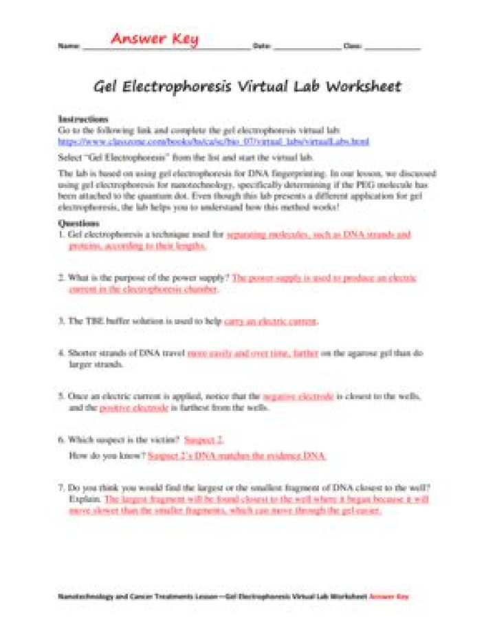 DNA Extraction Virtual Lab Answer Key PDF – Free Download