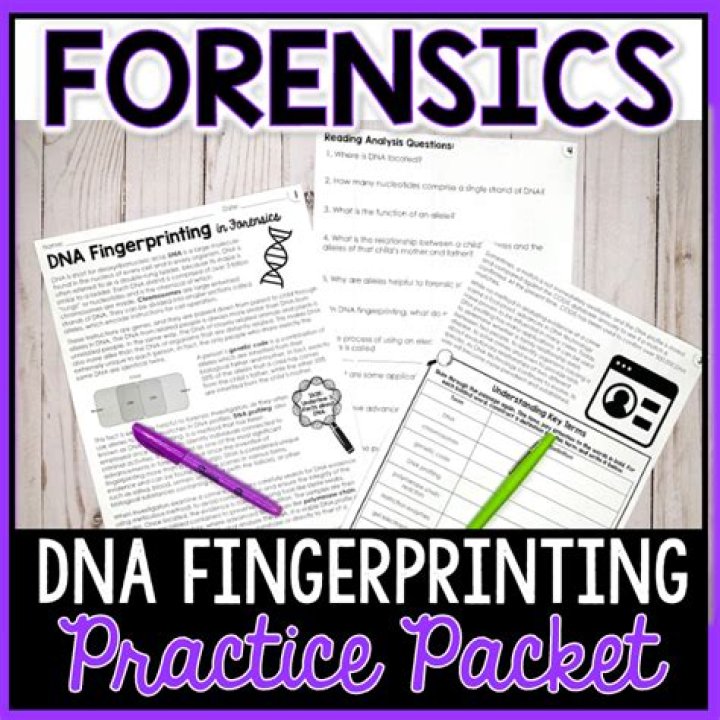DNA Fingerprinting Activity PDF Answer Key with Step-by-Step Guide