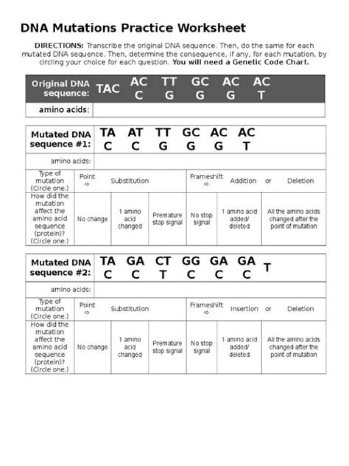 DNA Mutations Practice Worksheet PDF: Study & Reinforce Genetic Concepts