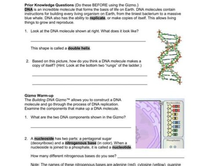 DNA Profiling Gizmo Answer Key PDF – Step-by-Step Guide