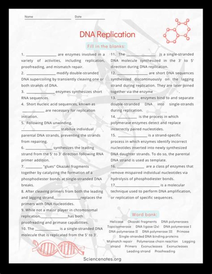 DNA Structure and Replication: Expert PDF Answers