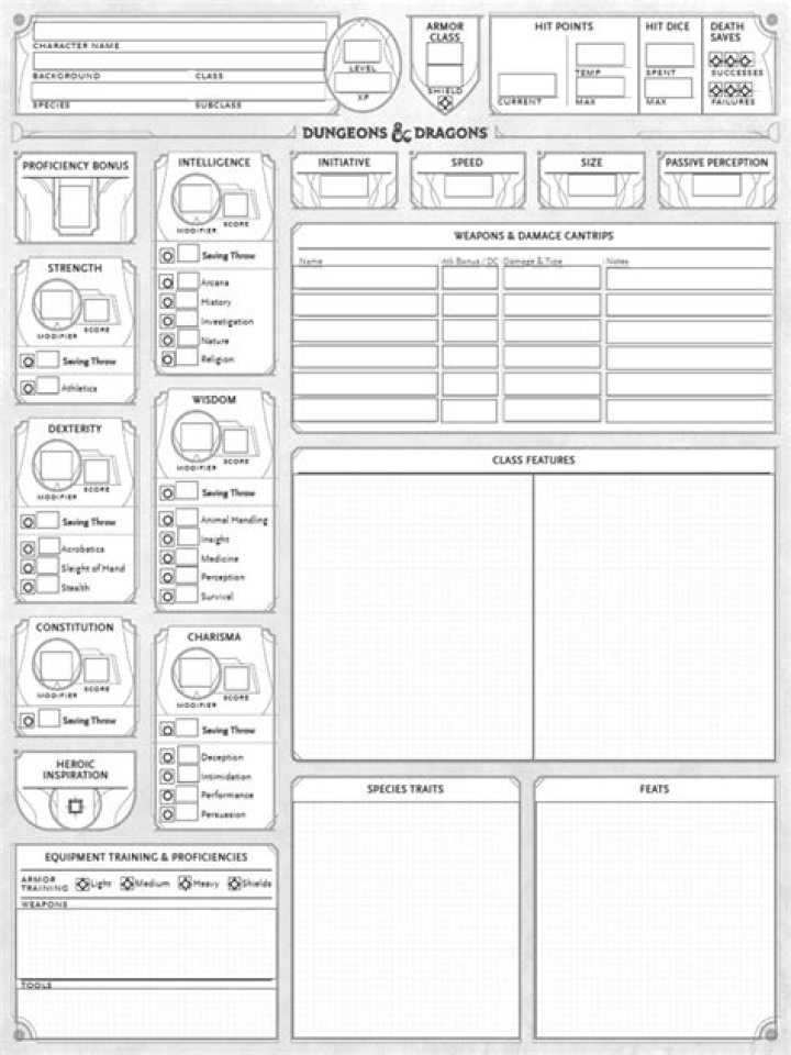 Download Free D&D 2024 Character Sheet PDF Fillable – Instant Print