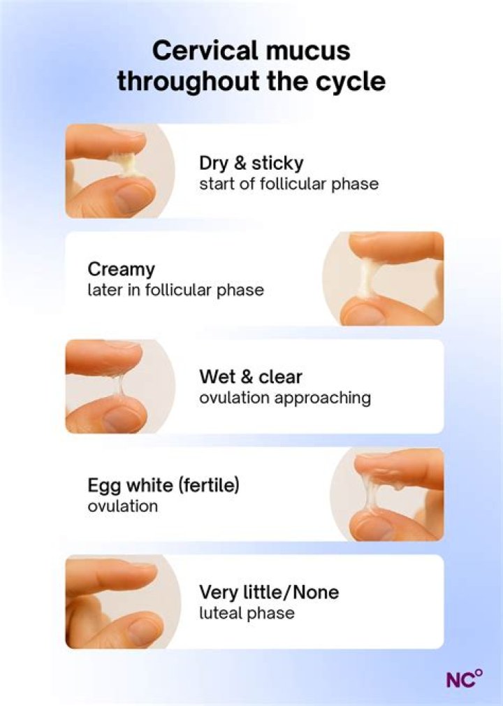Does cervical mucus mean ovulation?