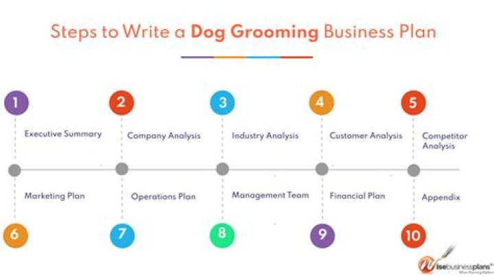 Essential Dog Grooming Business Plan PDF for Success