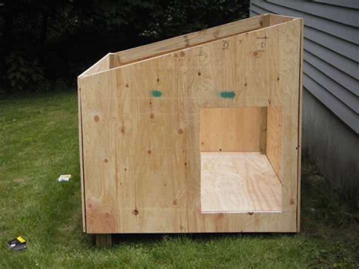 Free Dog House Plans PDF for Easy DIY Build