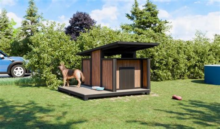 Affordable Dog House Plans with Porch PDF – Easy Download