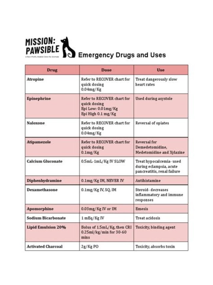 Dog Medications List & Uses: Essential PDF Guide