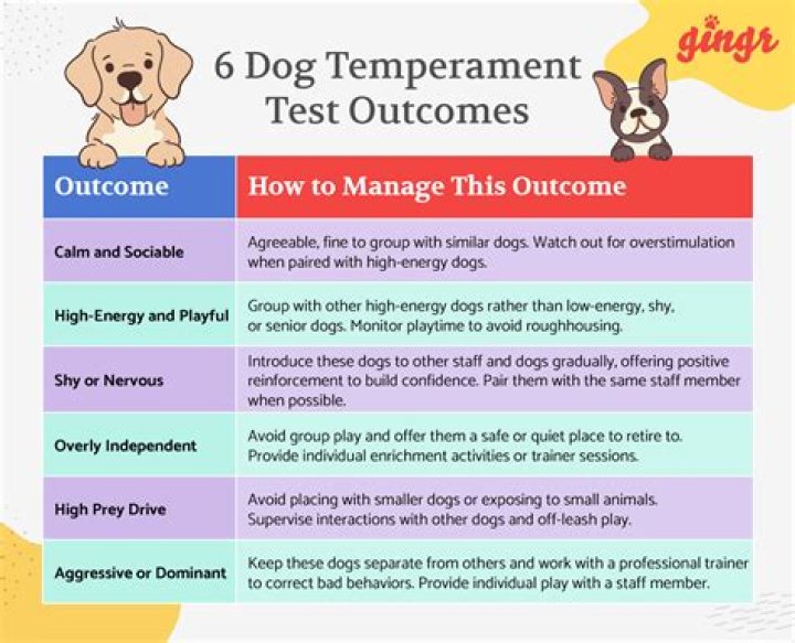 Dog Temperament Test List PDF – Evaluate Your Dog’s Behavior