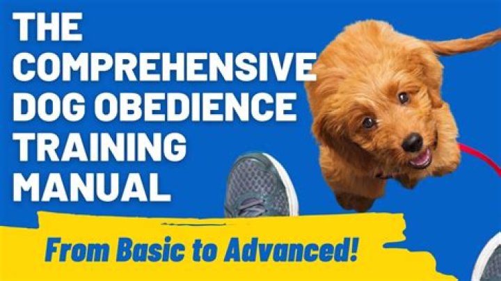 Dog Training Basic Obedience Lesson Plan PDF – Easy Step-by-Step Guide