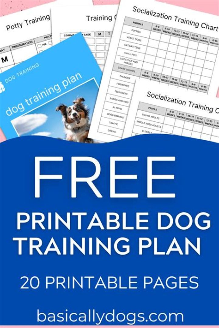 Dog Training Business Plan PDF – Step-by-Step Guide