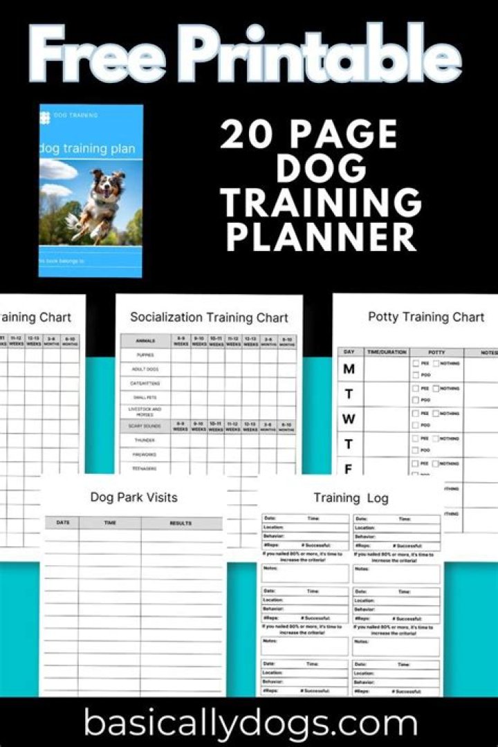 Complete Dog Training Plan PDF for Beginners