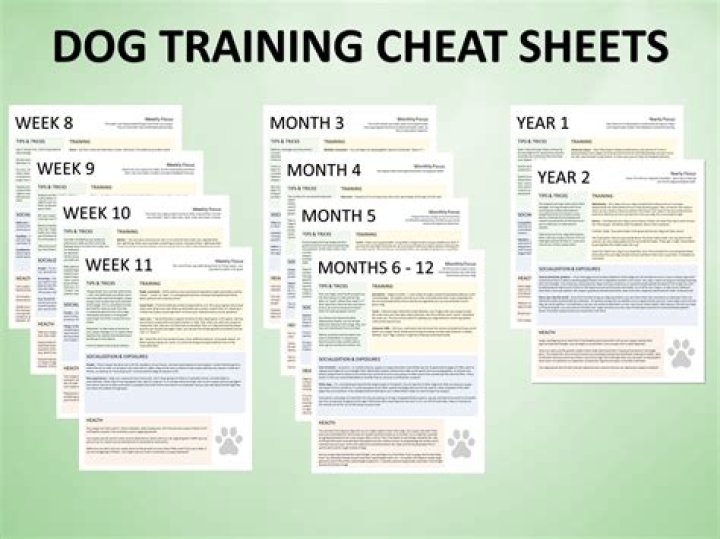 Dog Training Worksheets PDF – Free Printable Training Tools