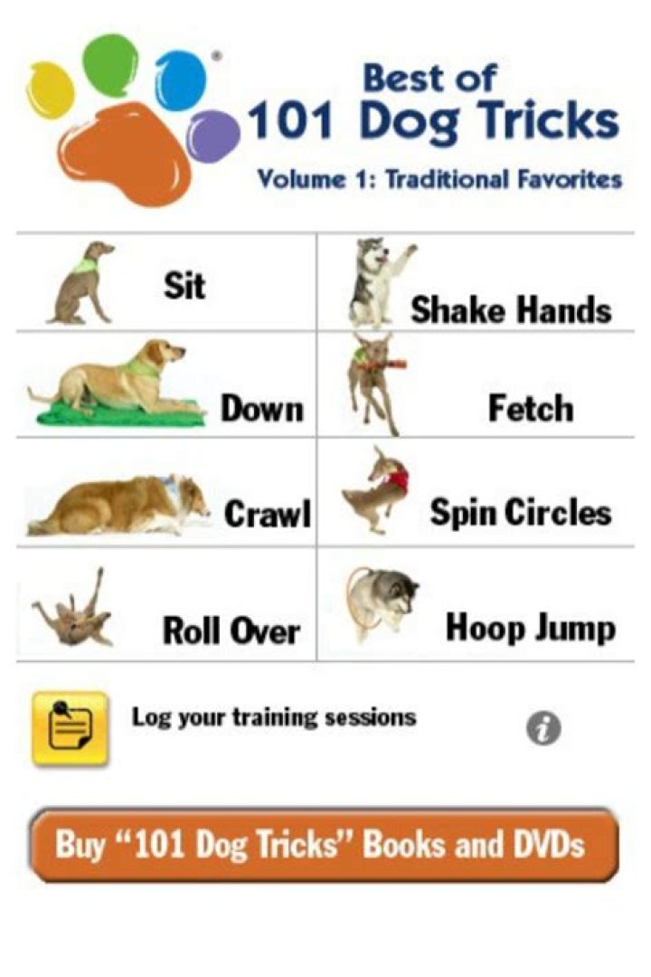 Top 10 Dog Tricks List PDF for Easy Training
