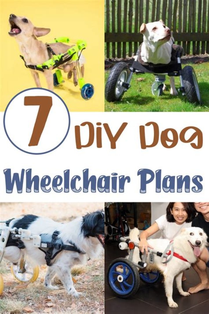 Dog Wheelchair Plans PDF: Easy DIY Guide for Mobility