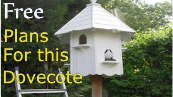 Free Download: Dovecote Birdhouse Plans PDF – Build Your Own DIY Dovecote