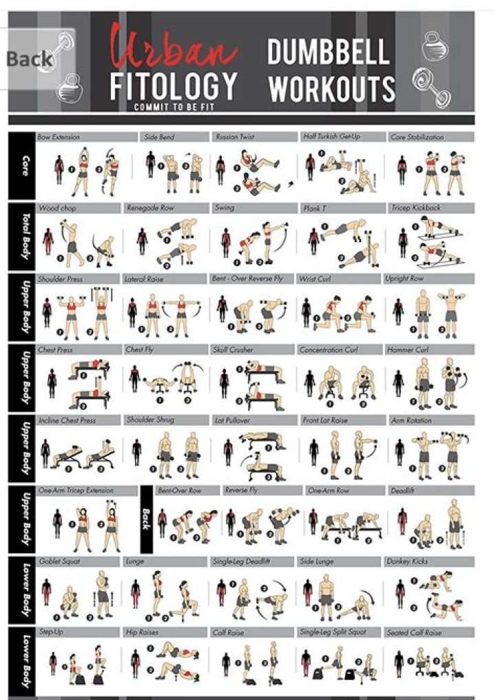 Download Free Workout Plan PDF – Easy Home & Gym Routines