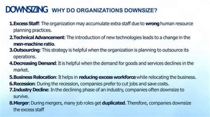 Downsizing in Human Resource Management: Strategic PDF Guide