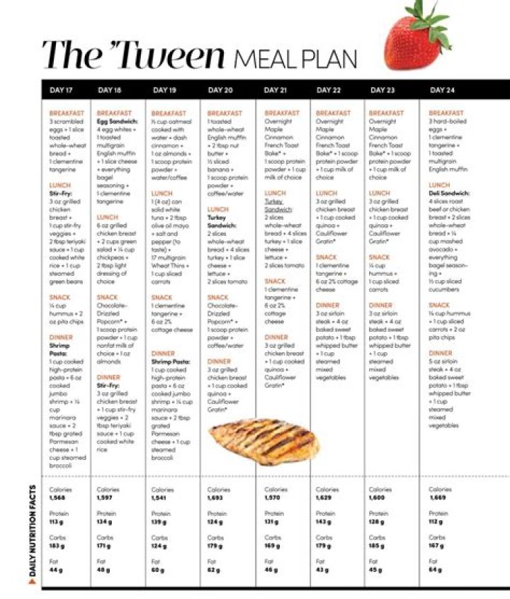 Dr Joe's 40-Day Turn-Up Meal Plan PDF: Quick Weight Loss Meal Guide