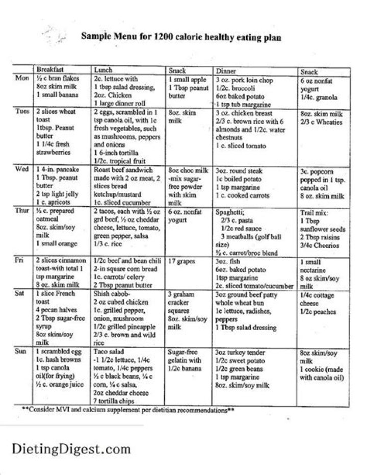 Dr Now 1000-Calorie Diet Plan PDF – Quick Weight Loss Guide