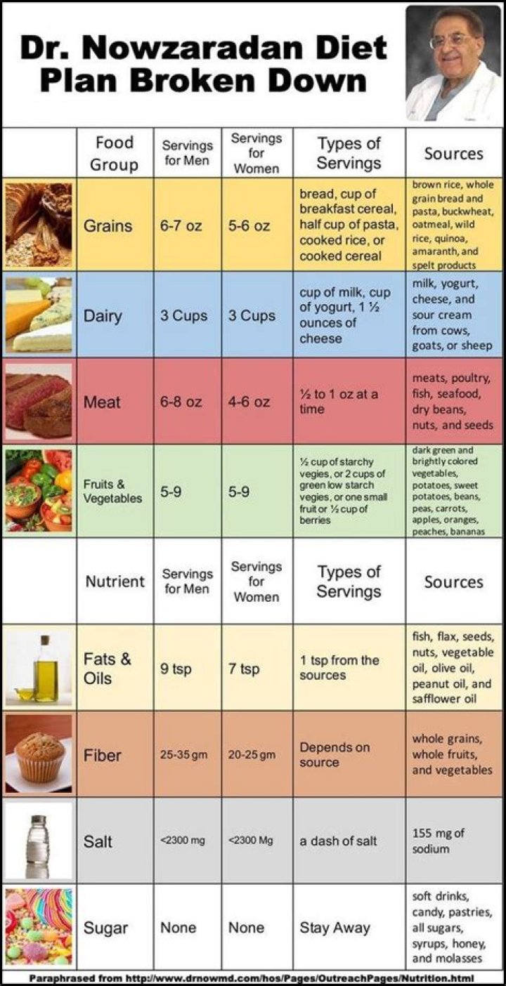 Dr Now's Instant Diet Plan PDF – Free Download Now