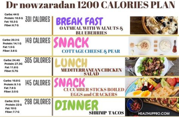 Dr Nowzaradan's 1200-Calorie Diet Plan PDF – Easy Weight Loss Guide