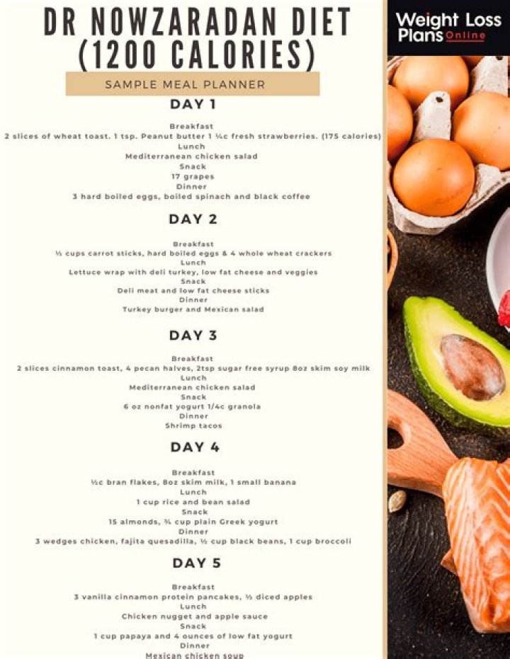Dr Nowzaradan Free Diet Plan PDF – Lose Weight Fast