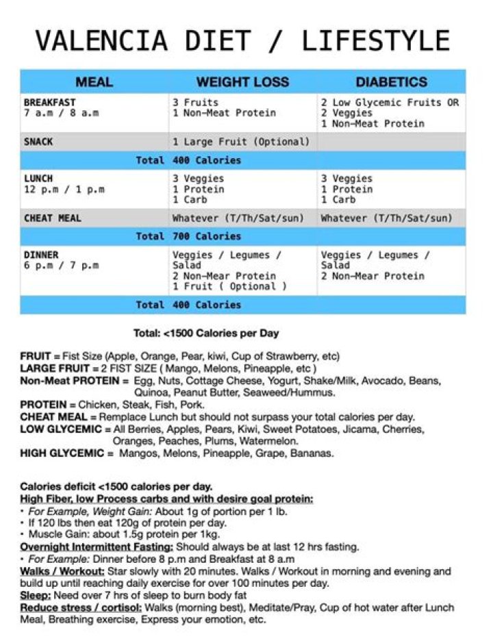 Dr Valencia's Proven Diet Plan PDF Download – English Version