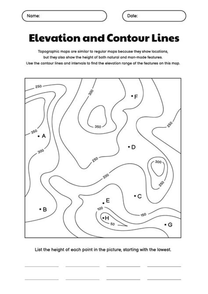 Free Drawing Contour Lines Worksheet PDF for Artists